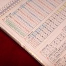 홍샘 이미지