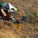 회암소류지 이미지