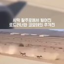 만화 실사판 코요테 vs 로드러너의 숨 막히는 추격전 이미지