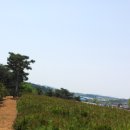 대덕농원