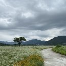 용평4길 이미지