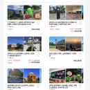 (주)아이비오토테크 | 실리콘밸리 투어 스탠포드대학교 구글 애플 본사 샌프란시스코 근교 여행 코스 미국 산호세