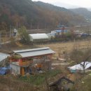 순양농장 이미지