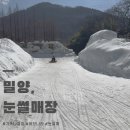 허브 식물과 향기의 이용 | 경남 밀양 눈썰매장 아이랑 갈만한 곳 다양한 구경거리 참샘 허브나라 추천