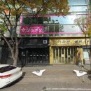 이유진테레스