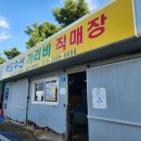 백도오토캠핑장 이미지