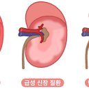 평촌동물병원