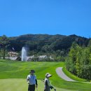 월드 C.C 이미지