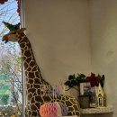 용호탕 | 아기 돌사진 후기 #1. 자랑하고싶은 작가님, 어머님, 아들래미