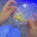 동대구 뽑기역 이미지