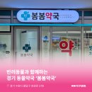 봄봄약국 이미지