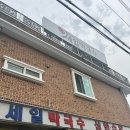 전천로 | [동해] 막국수보다는 수육 맛집 ‘세일막국수’ 솔직후기