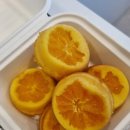 그림책 속 향기교실 | 교실에 퍼진 귤향기🍊｜감귤기차 그림책과 귤머핀으로 떠난 북베이킹