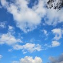 씨제이올리브영(YES) | 리모트인턴십 5기 DXthon 참여 후기