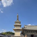 경주신발 | 경주불국사 방문 후기 및 정보 (아이와 함께 가기 좋은 코스 추천)