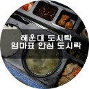 달오 pc | 해운대 도시락 엄마표안심도시락 가성비 갑