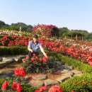 남성초교 이미지