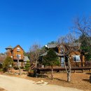 이른아침호숫가 이미지