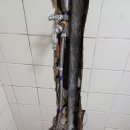 구월3동-4 이미지