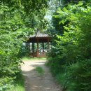 바람고개길 이미지