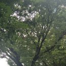 민경운수 이미지