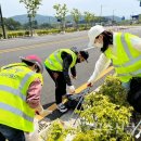 월드케어 이미지