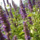 이화농장 이미지