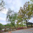 어양공원 앞 삼거리 | 천안 아이랑 주말 어디갈까? 천안 삼거리공원 피크닉 후기