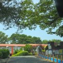 임피초등학교 이미지