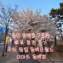 동백문월드 | 용인 동백호수공원 벚꽃 절정 후기 주차 꿀팁 동백문월드 이마트 동백점