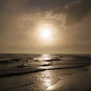 봉평메밀면가 | [내돈내산 방문후기]부산 다대포 해수욕장 앞 봉평메밀면가 식당 방문 후기