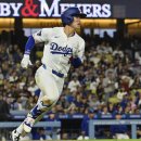 (주)빅윌 이미지