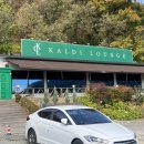 카디라운지 이미지