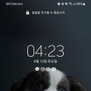 슈헤어 이미지
