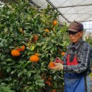 과즙팡팡 이미지