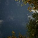 삼척안뜰캠핑장 이미지