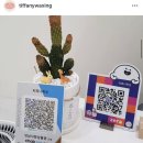 [위례 왁싱샵/내돈내산] 여성전용 저통증 왁싱전문...티파니왁싱 눈썹 왁싱 후기(위치, 가격, 할인...