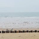 브라더꽈배기 이미지