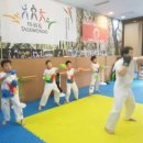 강산 태권도장 | [복타 복싱타격 사파동다이어트 신월동다이어트 상남동다이어트]창원성인운동 다이어트 사파라온태권도