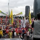 배정현 축산 이미지