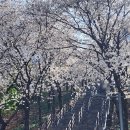 침산공원(B) 이미지