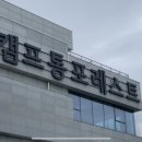 (주)캠프통포레스트 이미지