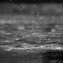 하모니 당구장 이미지