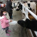 승민목장 이미지