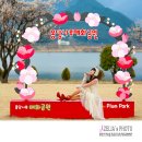 매화공원 이미지