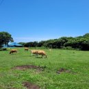 유산목장 이미지