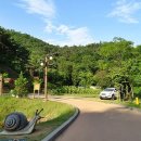 순천자연휴양림 이미지