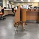 동천동 주민센터 이미지