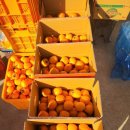 오두리 농장 이미지