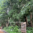 봉래약국 이미지